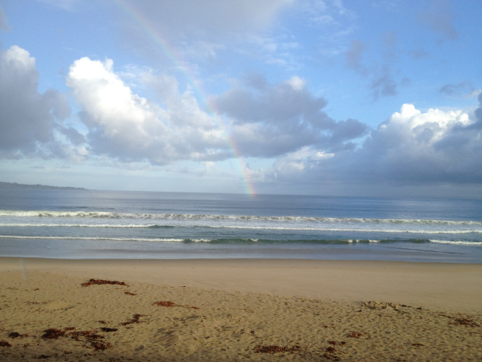 rainbows and butterflies